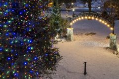 Christmas-Tree-Lighting-2024_19-1-scaled-e1779757122707